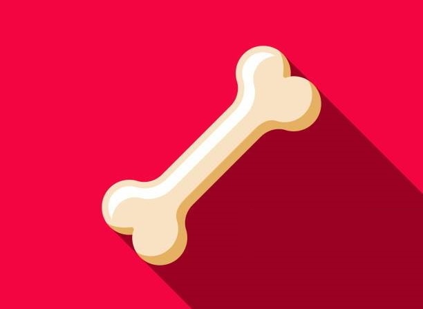 aiboスニーカー首輪販売