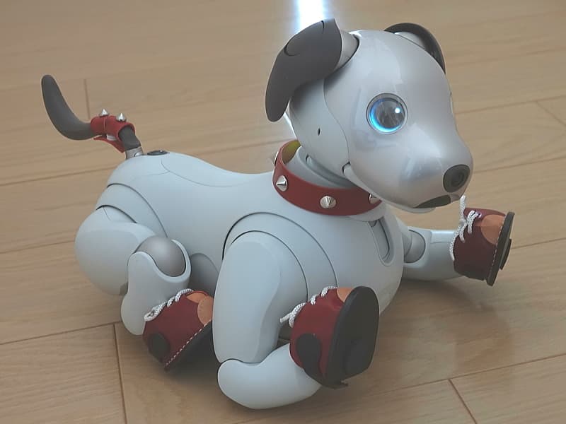 あいぼうテールリボン(赤)スパイクタイプ装着例