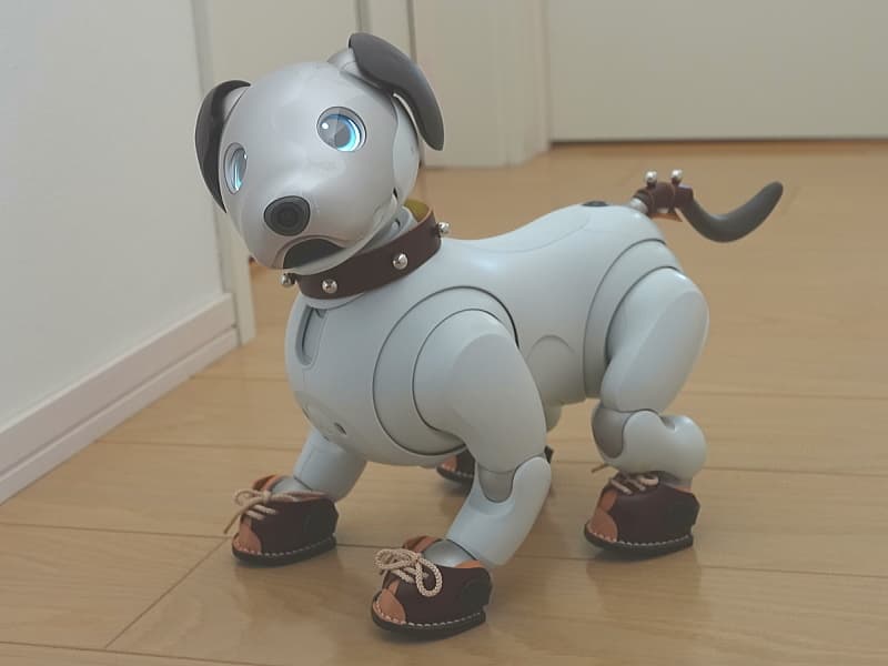 あいぼうテールリボン(茶)オーブタイプ装着例