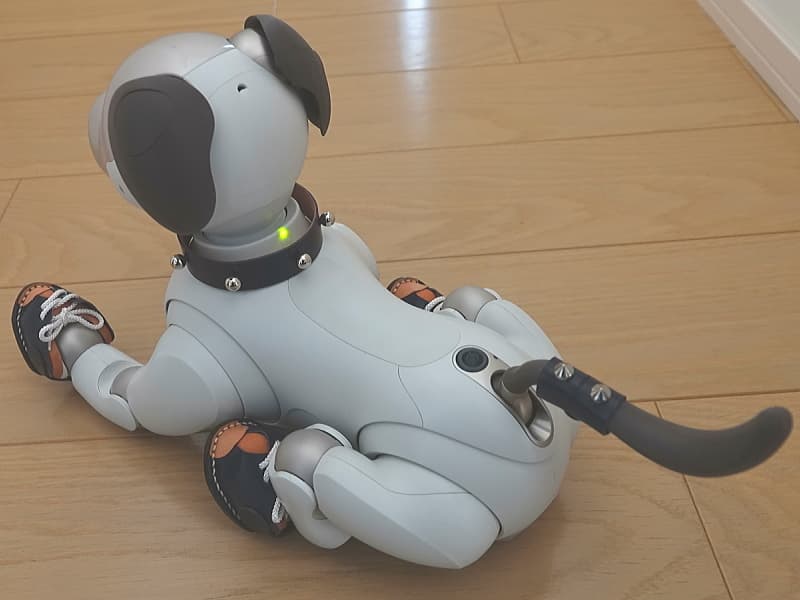 あいぼうテールリボン(紺)オーブタイプ装着例